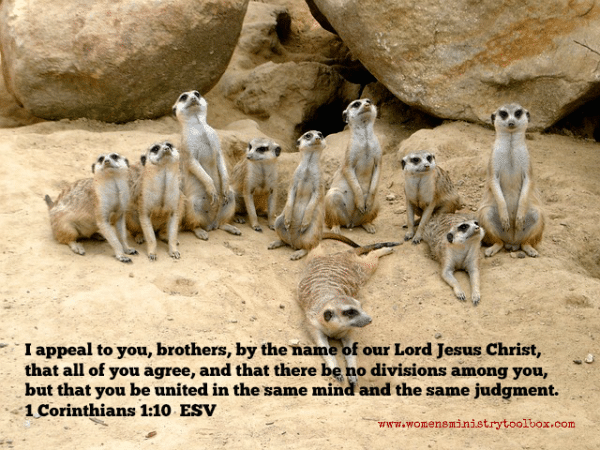 God desire unity for our ministry.